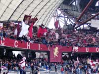 TORO-MODENA-2-1