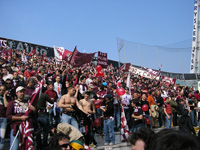 modena-toro