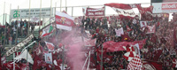 parma-toro