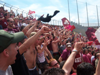 Livorno-Toro