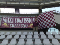 DAVIDE