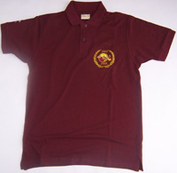 Polo anniversario